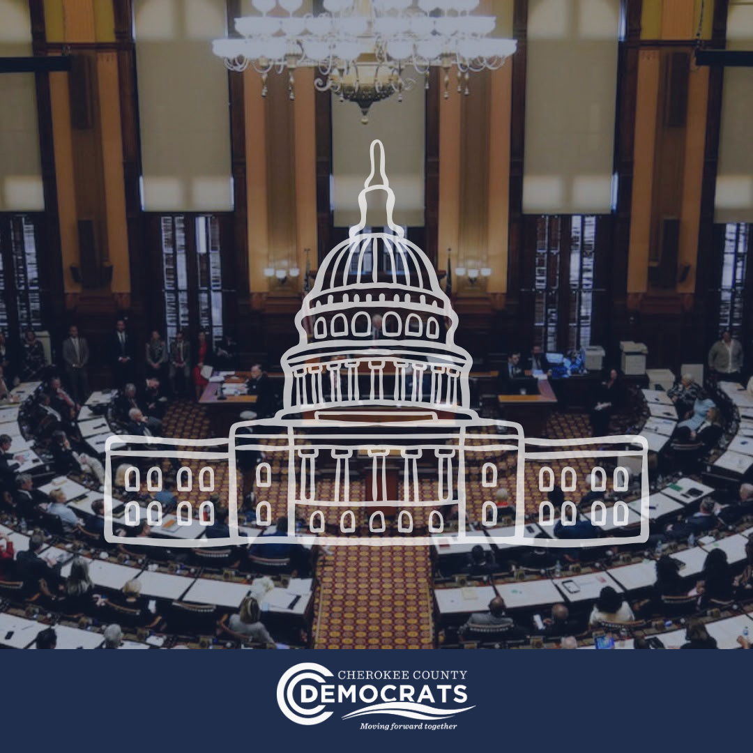 Georgia House of Representatives – 2.28.2025 Committee Meetings