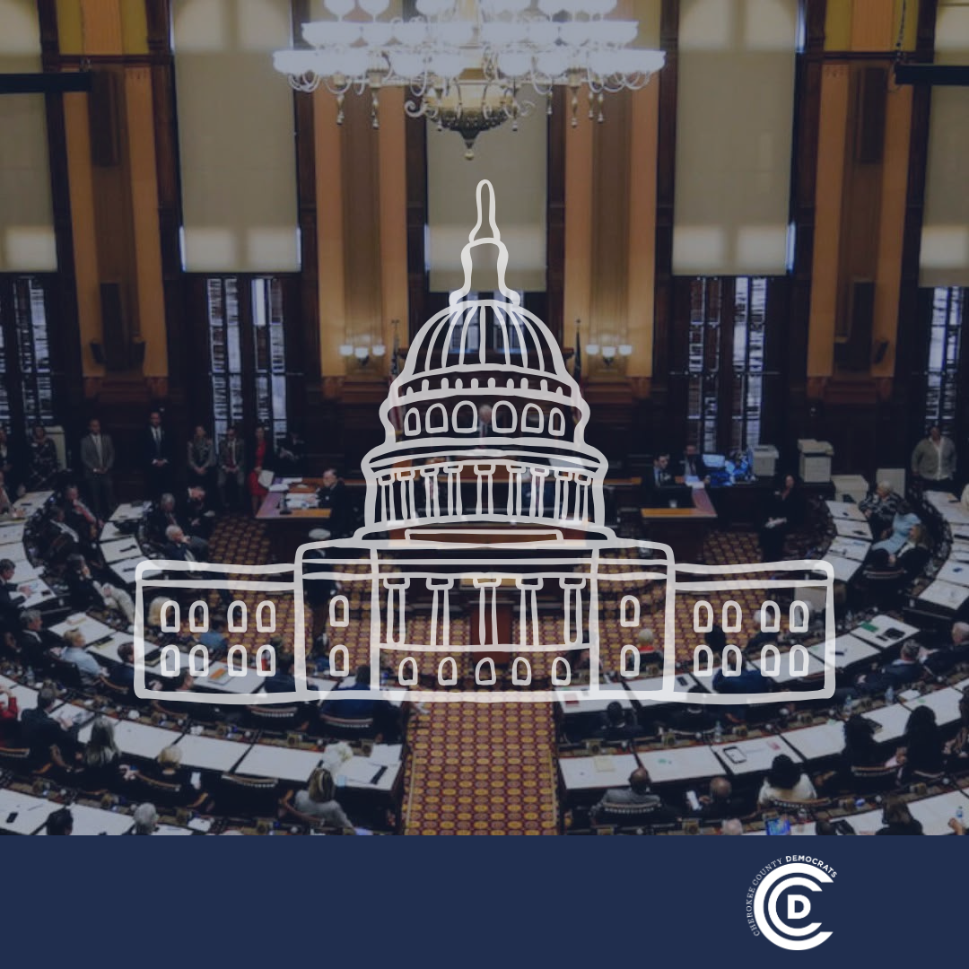 Georgia House of Representatives – 2.26.2025 Committee Meetings
