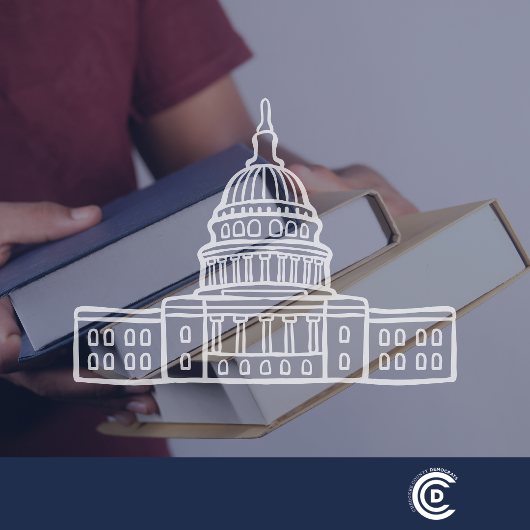 Georgia State Senate – 2.13.2025 Committee Meetings